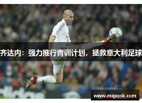 齐达内：强力推行青训计划，拯救意大利足球